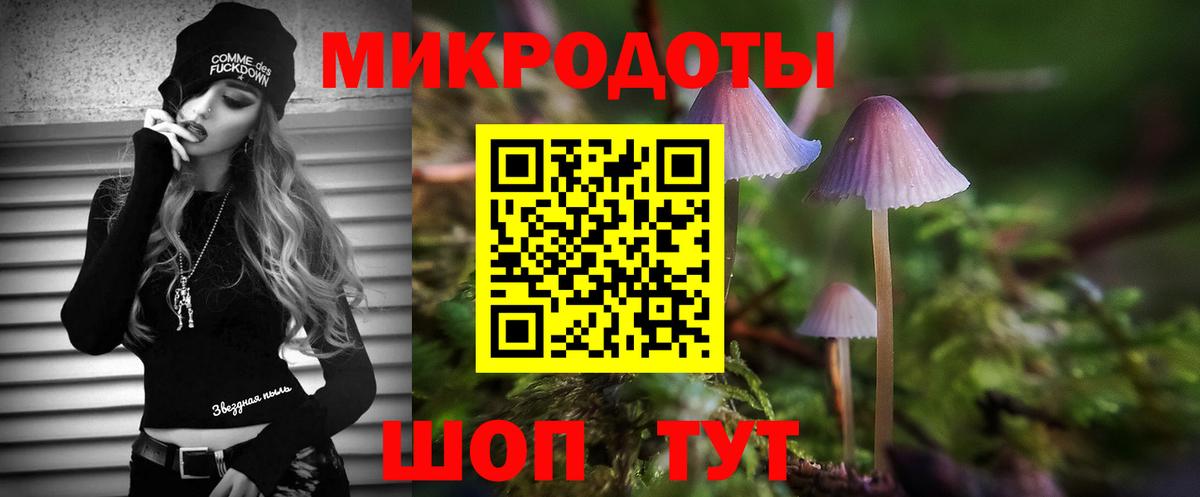 Галлюциногенные грибы Cubensis  Вход с VPN  Галлюциногенные грибы прущие грибы  Анапа 
